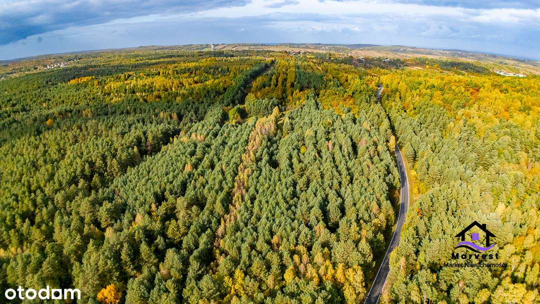 Niegowa | Działka rolna | Atrakcyjna lokalizacja - Pełny obrazek: 4/6