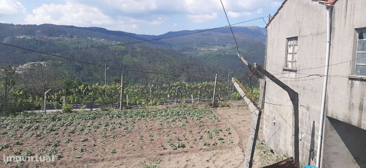 Terreno – Oliveira de Frades - Grande imagem: 4/29