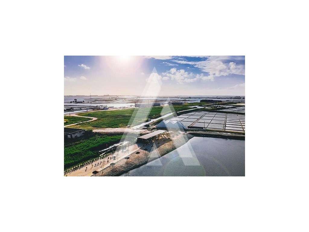 Terreno urbano na Gafanha da Nazaré. - Grande imagem: 5/12