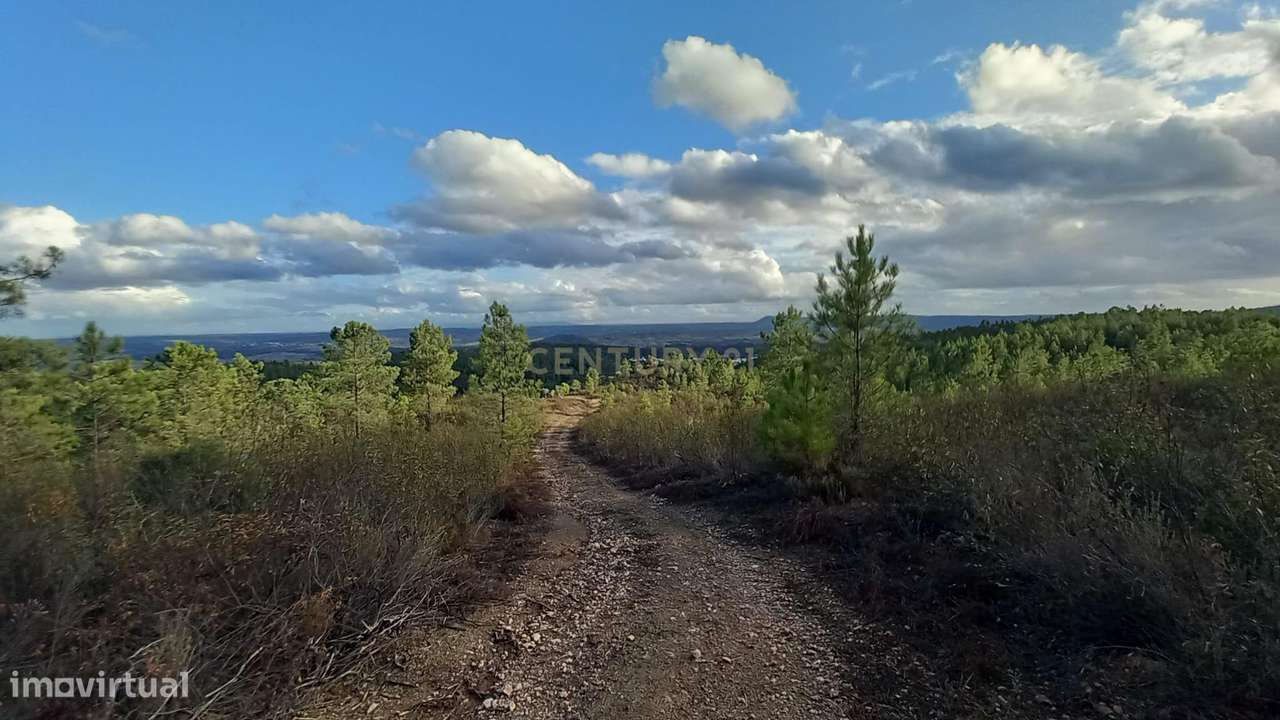Terreno Rustico Atalaia-Sarnadas de Rodão - Grande imagem: 2/23