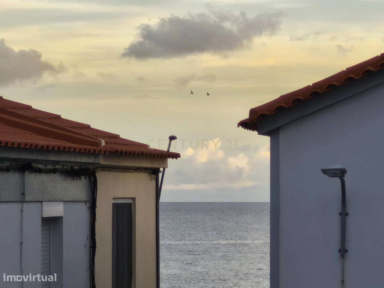 Moradia T4 Rosto do Cão São Roque-23