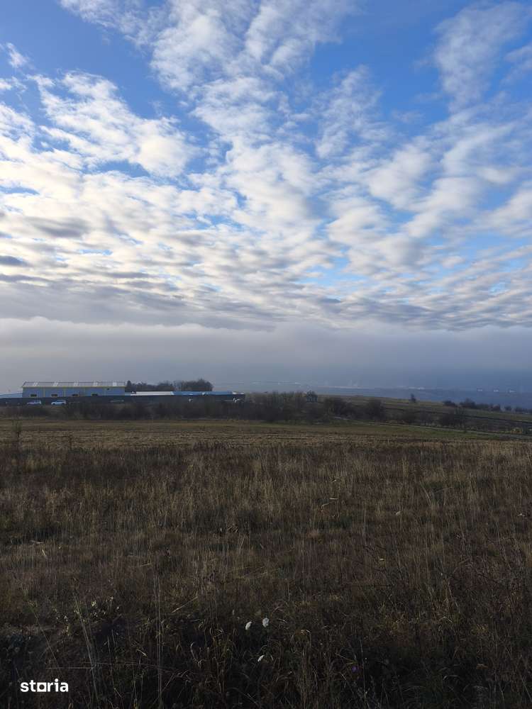 Teren racordat la apa și electricitate in zona străzii Lombului - Imagine principală: 3/5