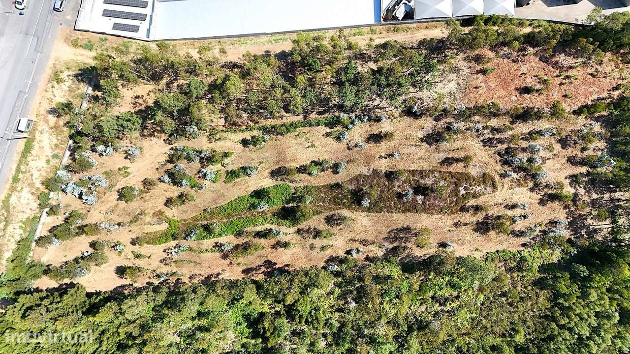 Terreno para Atividades Económicas – Oportunidade em Santa Maria da Fe - Grande imagem: 3/9