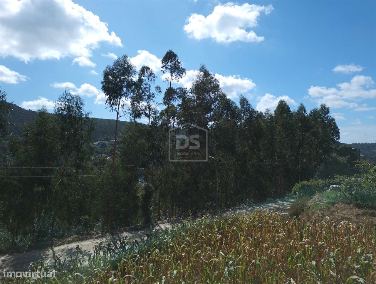 Terreno Para Construção  Venda em Raiva, Pedorido e Paraíso,Castelo de - Grande imagem: 2/14