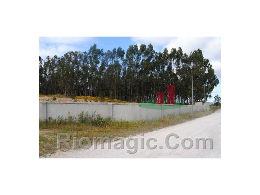 Terreno - Rio Maior***RIOMAGIC*** - Grande imagem: 2/15