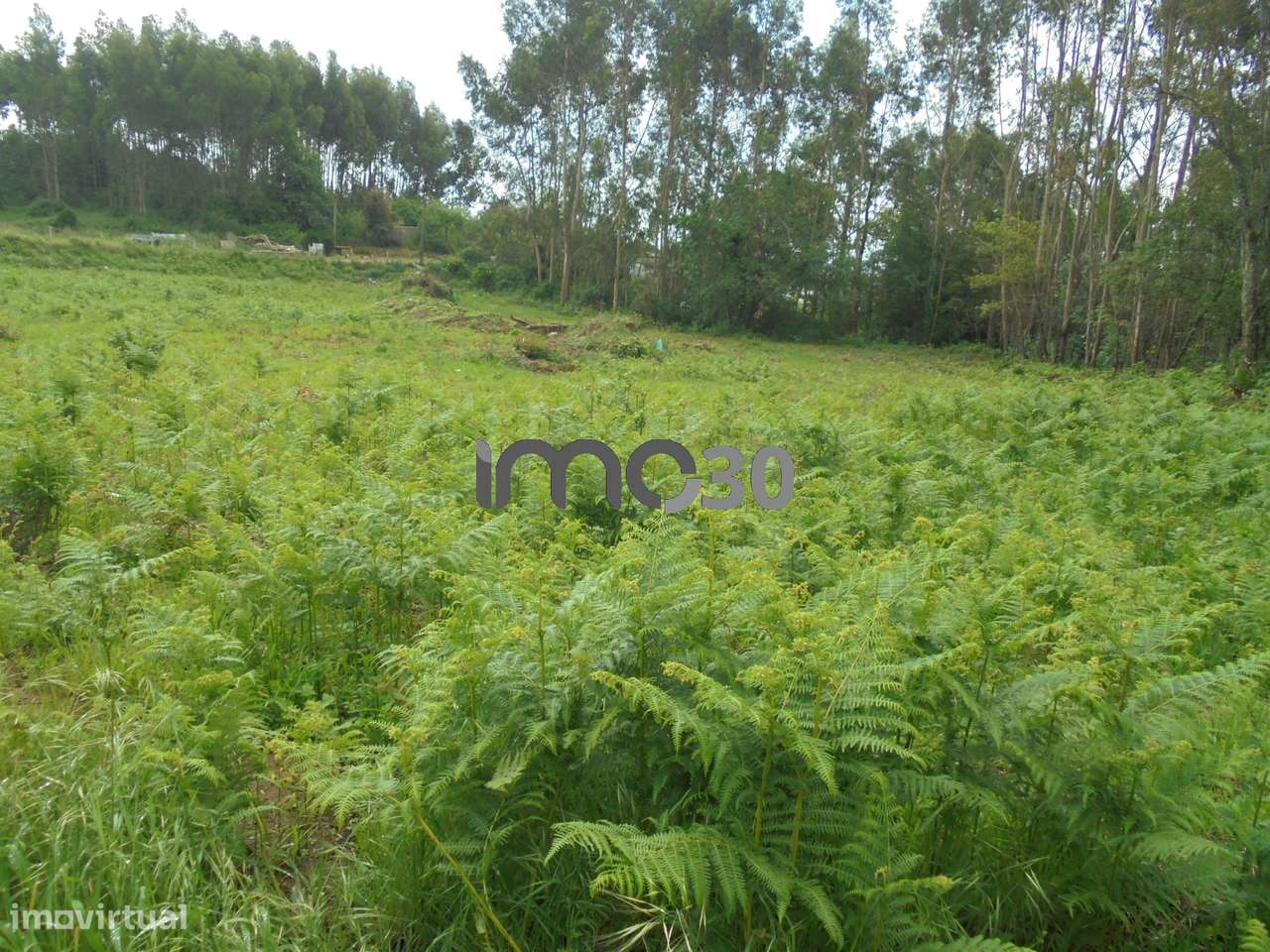 Terreno para construção em Baguim do Monte - Rio Tinto-4