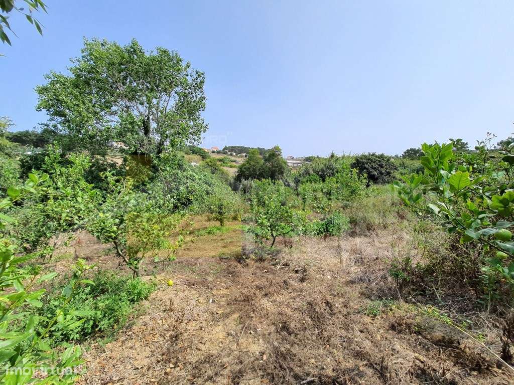 Terreno Misto em zona Urbana com 5.625m2 em Caeiro - Mafra - Grande imagem: 4/5