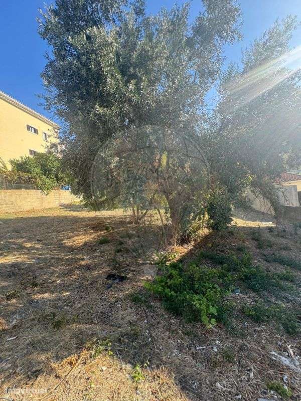 Terreno  para venda - Grande imagem: 5/9