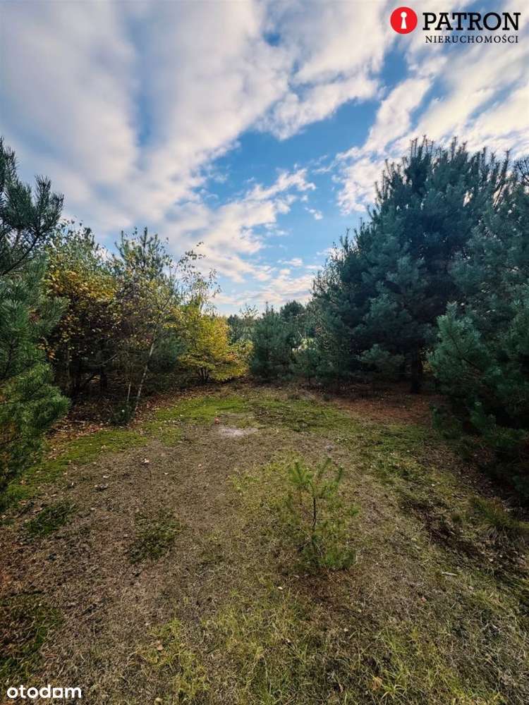 Działka z Warunkami Zabudowy-3