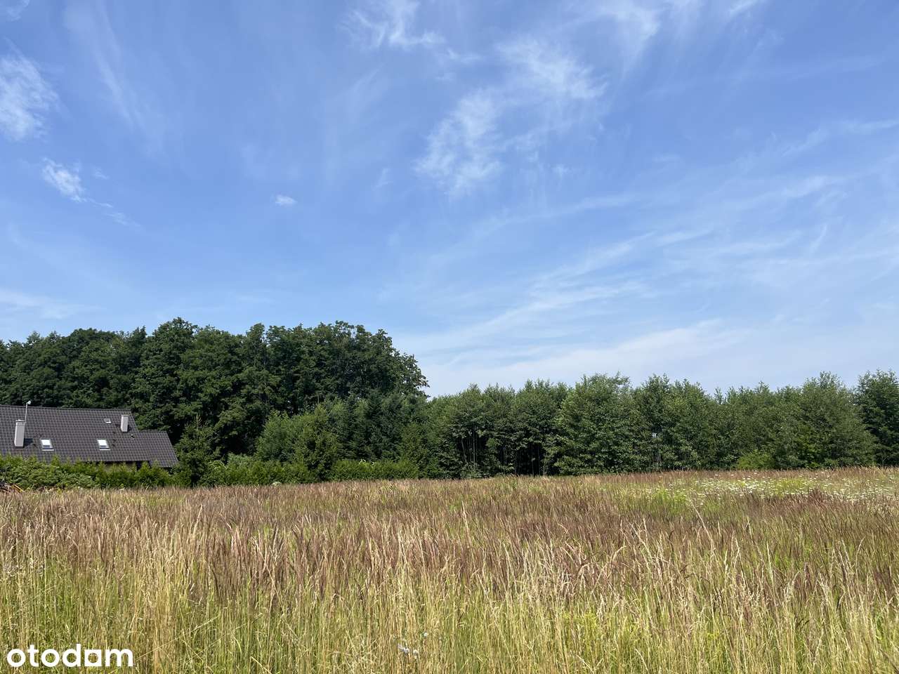 Działka 938 m² przy lesie – szybki dojazd do Wrocławia-1