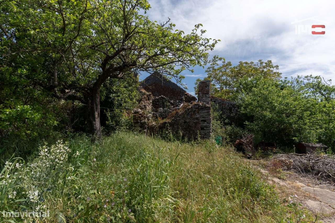 Moradia T3 para reconstrução em Crespos, S. Mamede-19