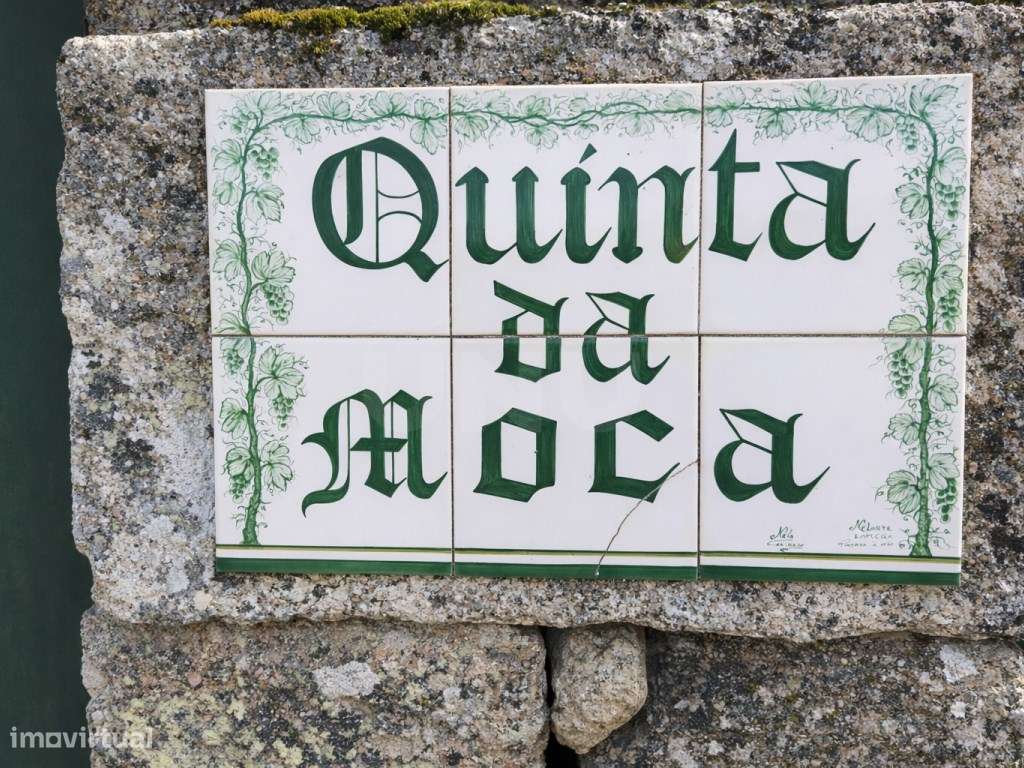 ATIVO TURÍSTICO + QUINTA DE EXCEÇÃO NA BEIRA ALTA - Grande imagem: 4/60