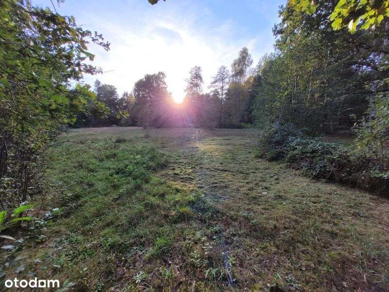 Stobierna 27,7a, piękna działka otoczona lasem - Pełny obrazek: 4/10