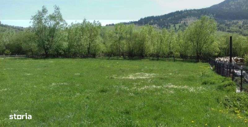 Teren intravilan Vama SV 1921mp 39ml deschidere intabulare 2018 - Imagine principală: 4/5