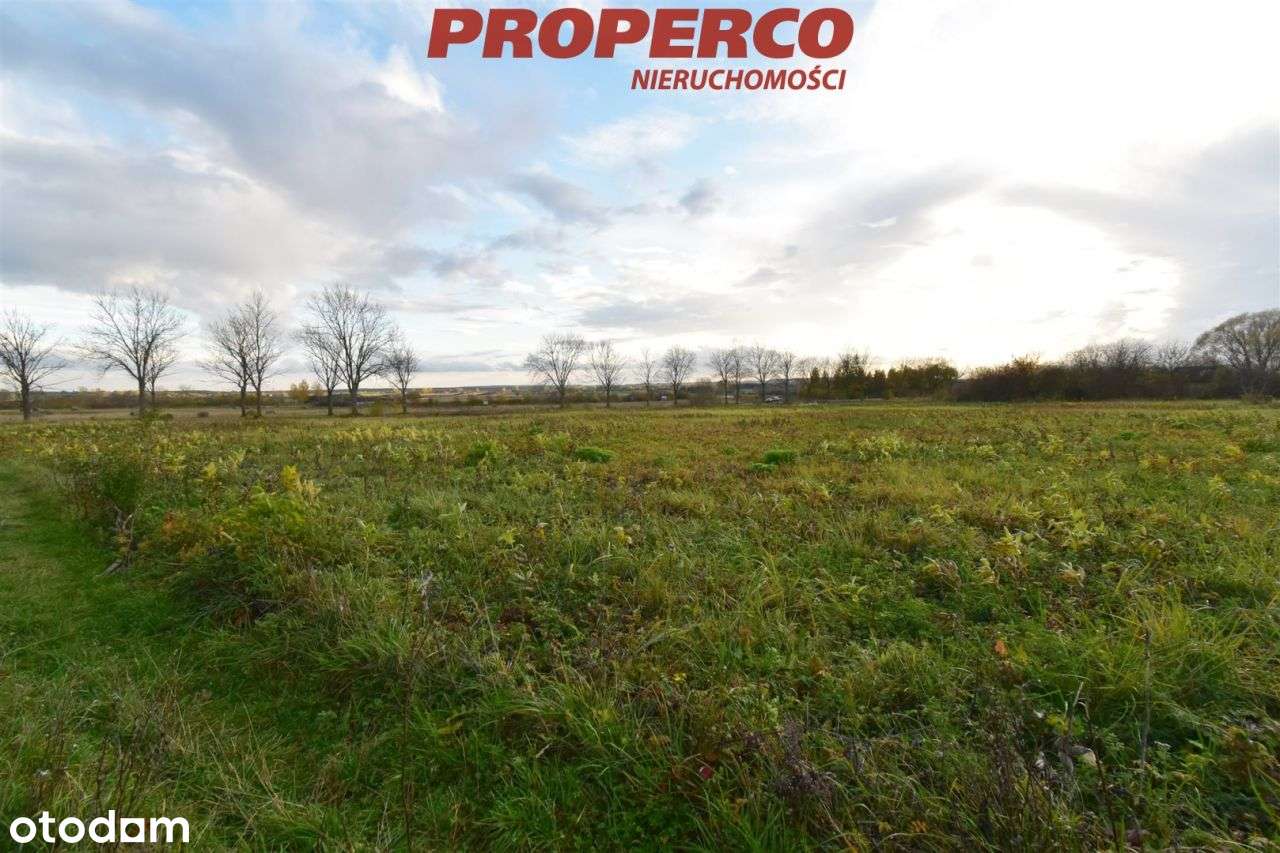 Działka 11571 m2, Lipnik, gm. Kije - Pełny obrazek: 5/14