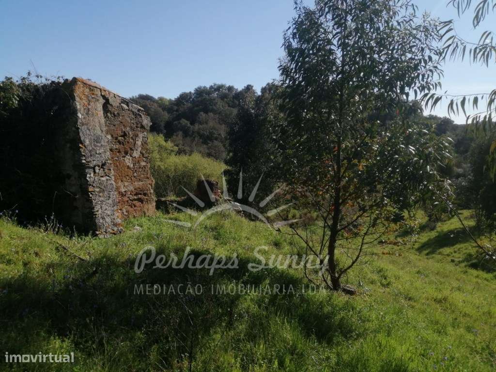 Quinta com casas para recuperar - Grande imagem: 5/47