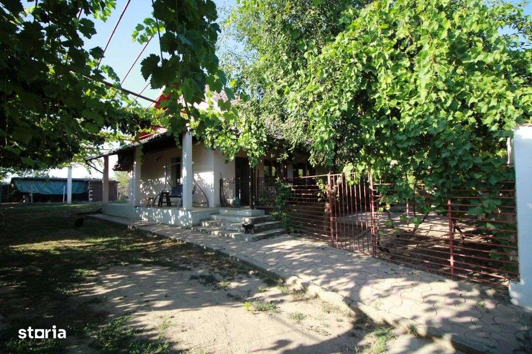Casa La Tara  - 2700MP - Tichilesti Constanta - Vita De Vie - Pomi Fru - Imagine principală: 1/19