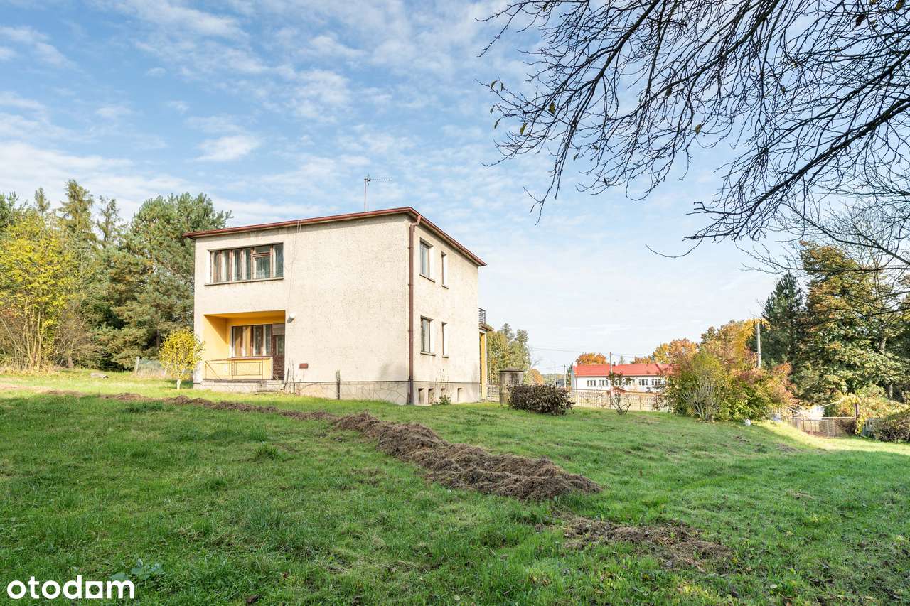 Dom z dużą piękną działką ponad 3ha w otoczeniu lasu i łąk -Golasowice - Pełny obrazek: 4/19