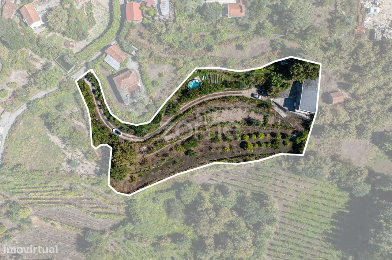 Moradia seminova T3 | Tranquilidade e Natureza | Douro – Cinfães - Grande imagem: 2/44