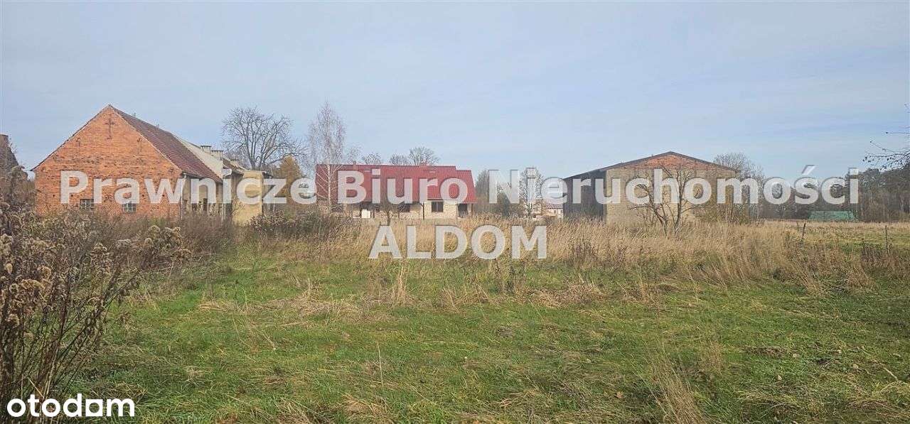 Działka usługowo rolna, Przygorzele, gm Świerczów-6