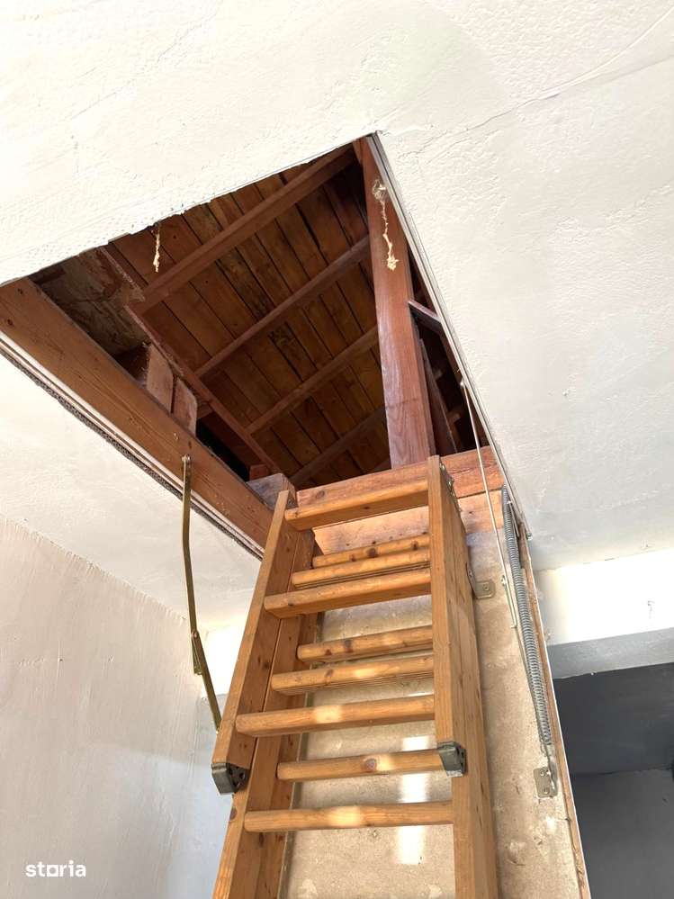 53.500 Euro casa+teren (in concesiune) 804 mp in com Branistea - Imagine principală: 4/8