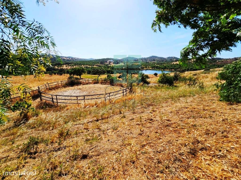 Herdade equestre com moradia T5 e piscina, 93,5ha, em Ourique, Alen...-13