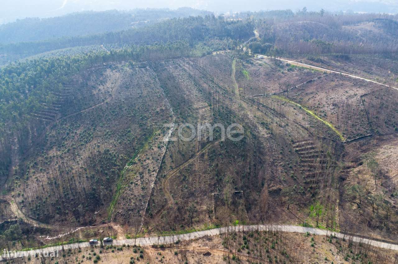 Terreno florestal urbanizável com 7.800 m2 - Rio Mau, Penafiel - Grande imagem: 4/9