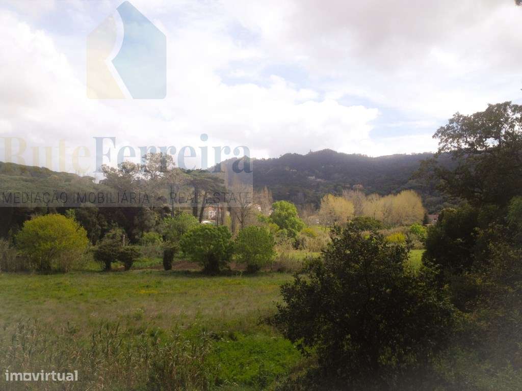 Um Refúgio Natural no Coração de Sintra - Grande imagem: 4/7