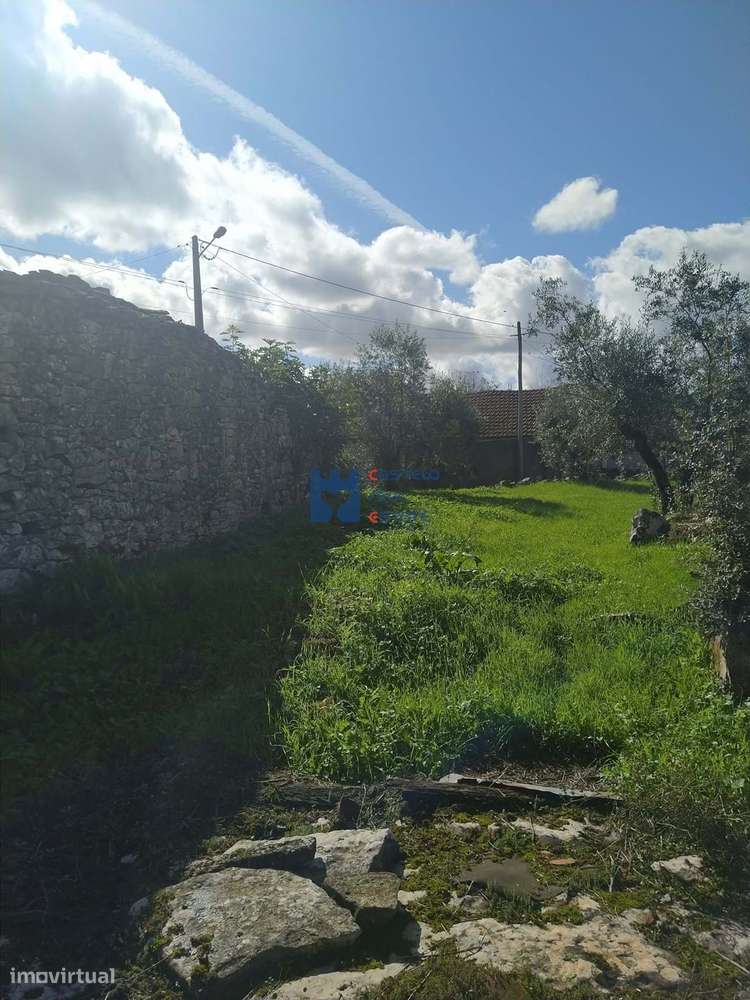 Moradia em ruina com terreno em Maxieira-7