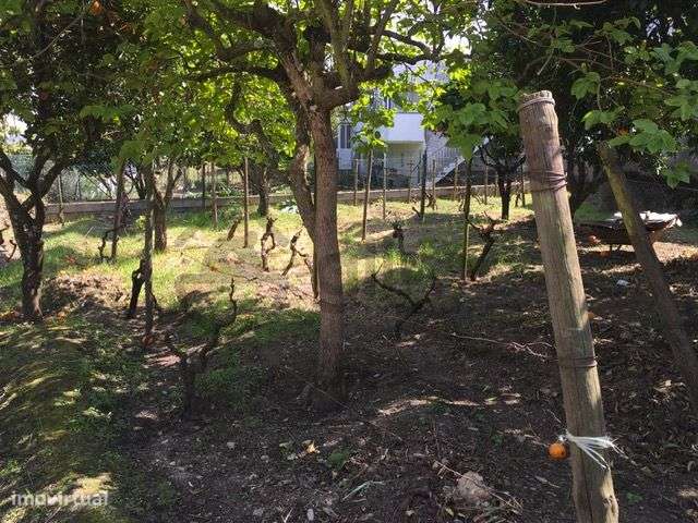 Casa com Terreno em Vilarinho de Cotas, Douro-37