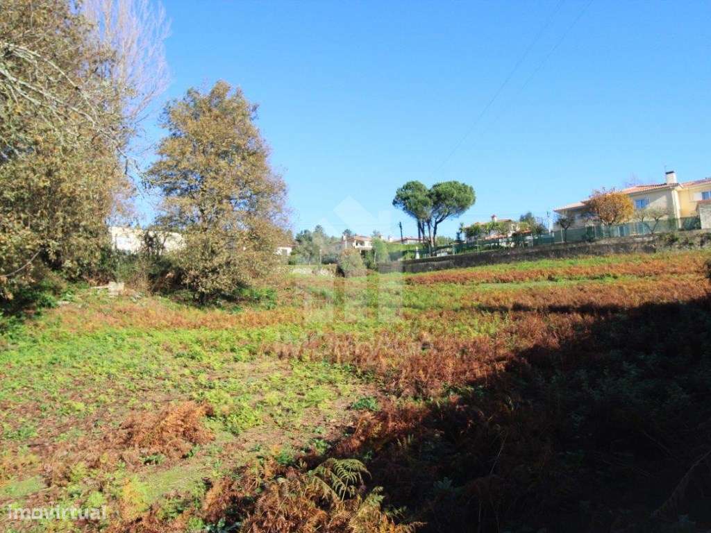 Venda de Terreno para Lotear, em Gualtar, Braga-6