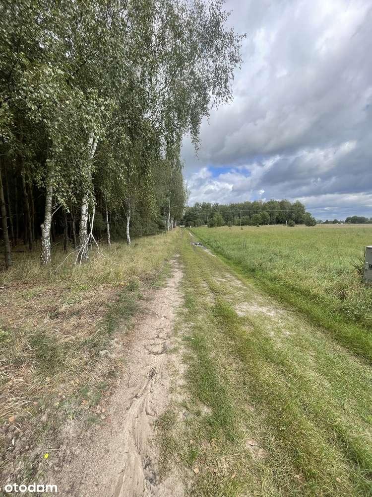 Malownicza działka w bezpośrednim sąsiedztwie lasu. Małe Rudy - Pełny obrazek: 4/7