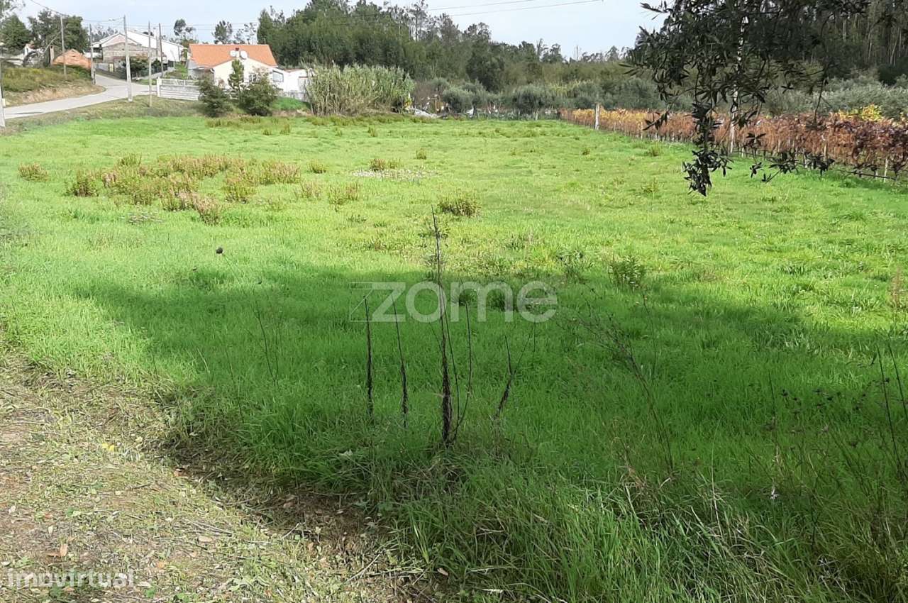 Terreno com comunicação de viabilidade urbanística - Grande imagem: 1/10