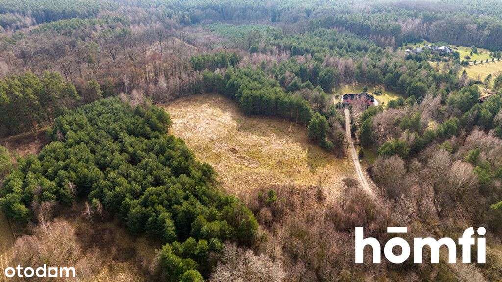 Działka 1,37 ha przy lesie | Zabudowa zagrodowa - Pełny obrazek: 4/11
