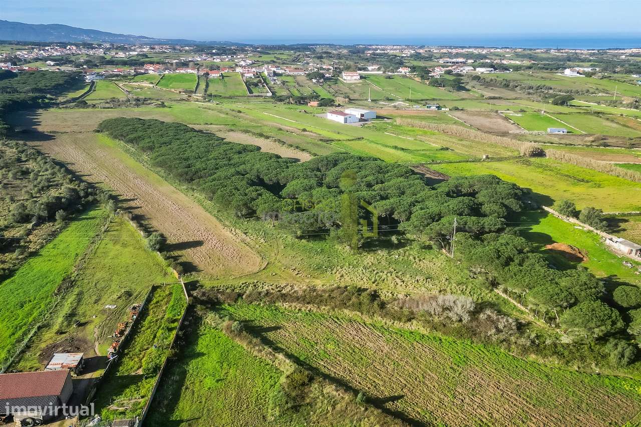 Terreno Rústico com 6 Hectares | São João das Lampas e Terrugem – Sint - Grande imagem: 5/9