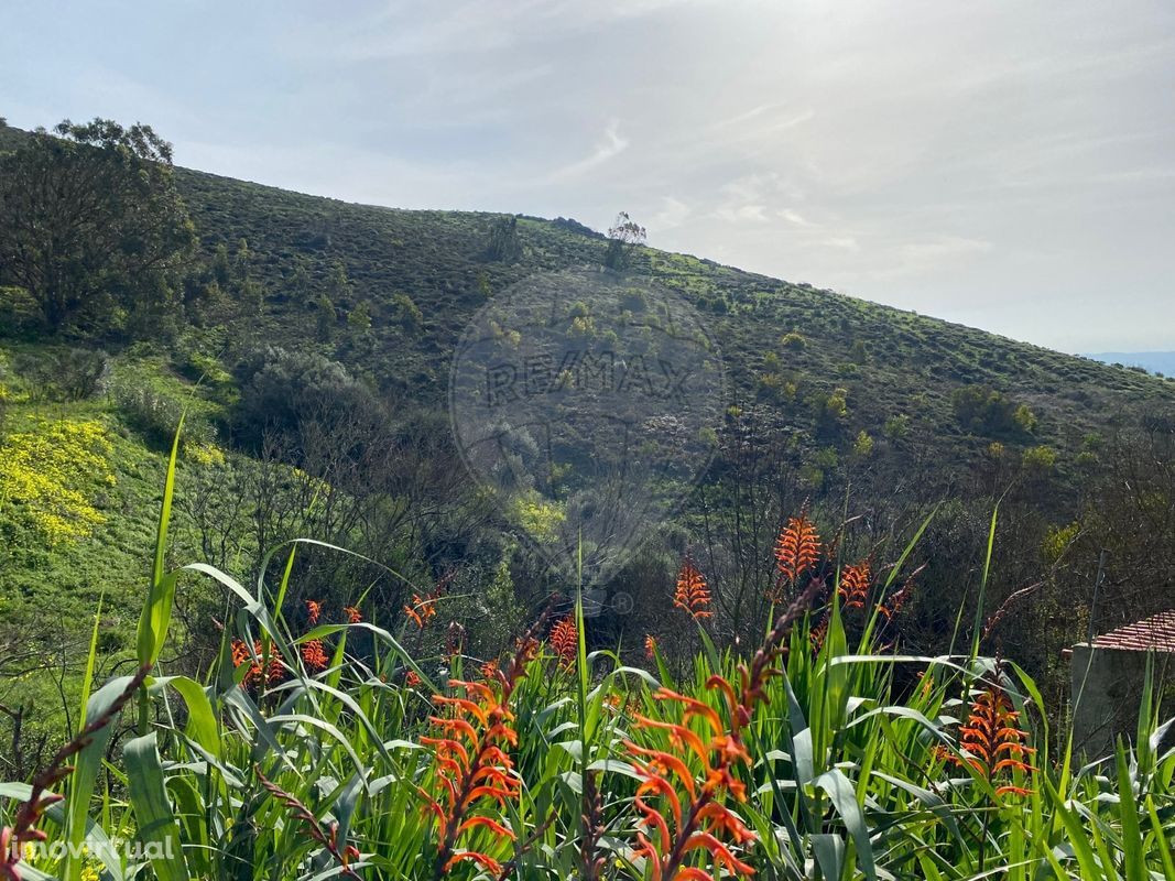 Terreno  para venda