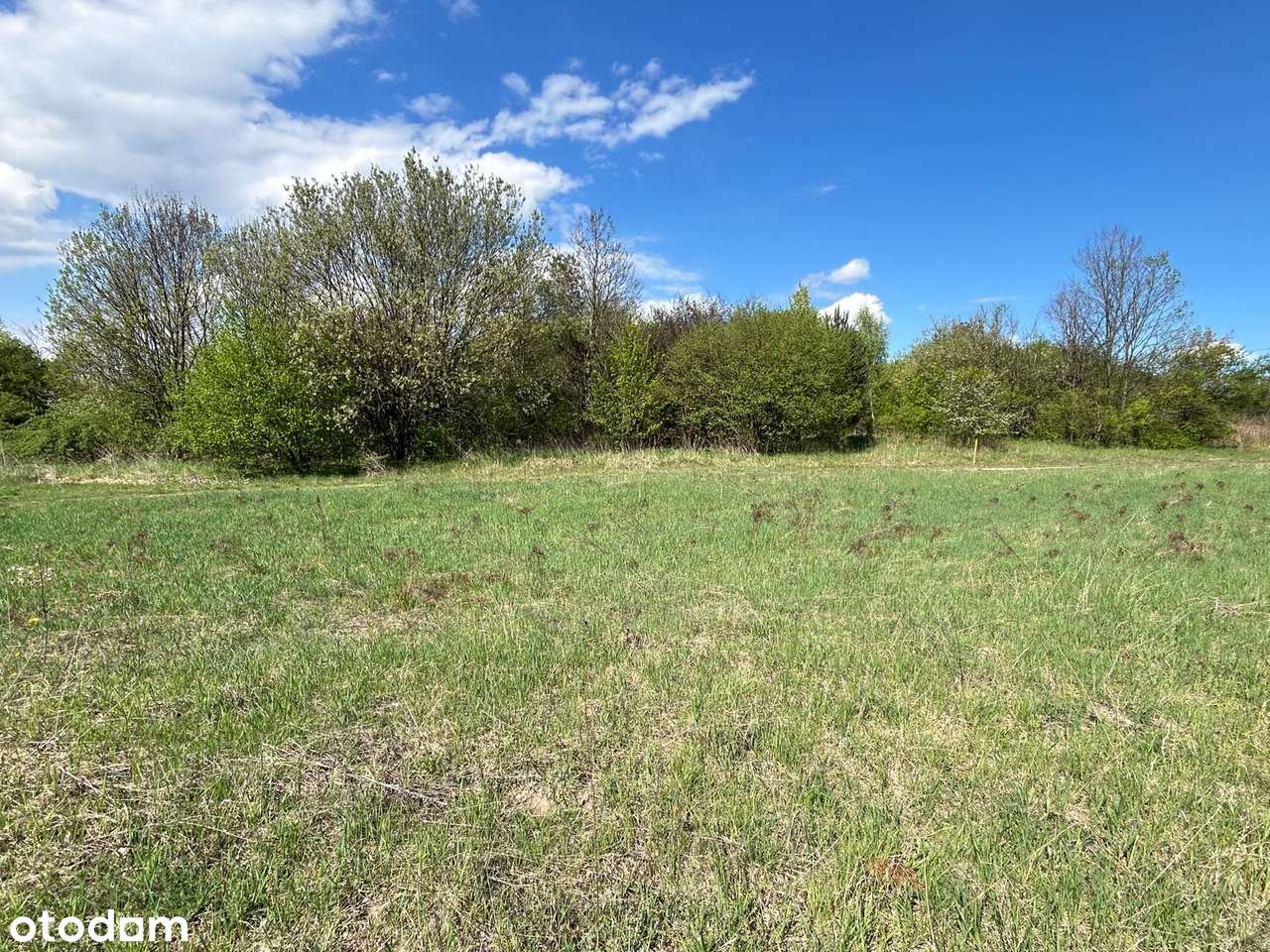 Działka budowlana, uzbrojona, blisko zamku - Pełny obrazek: 4/13