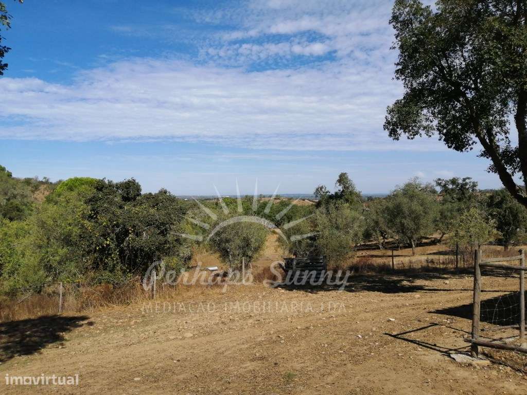 Terreno Misto - Grande imagem: 2/18