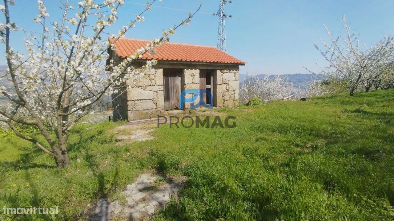 Quinta do Valado- Excelente Investimento em Resende-20