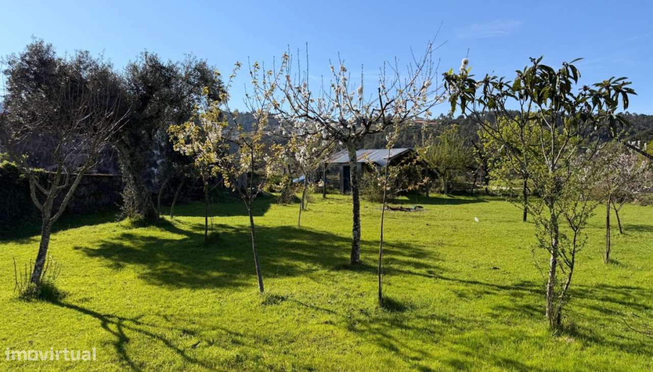 Venda Quinta com Moradia V3, Paredes de Viadores, Marco de Canaveses - Grande imagem: 4/42