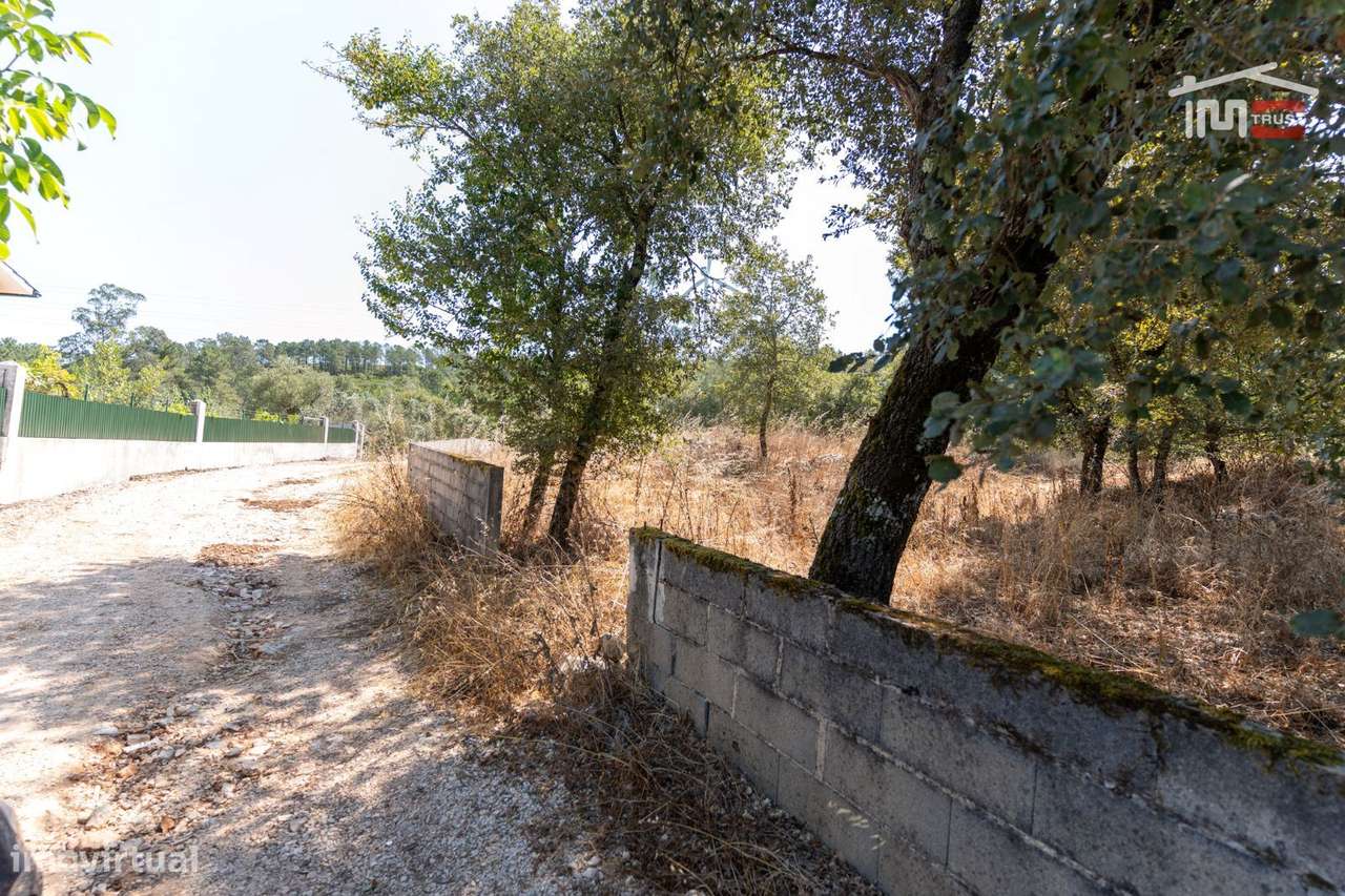 Terreno Rústico Murado em Barreiro Grande, S. Mamede - Grande imagem: 4/8