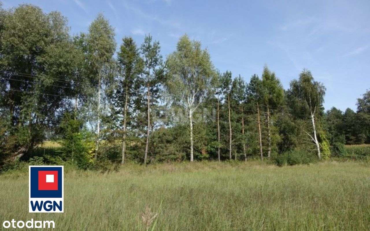 Działka, 25 425 m², Bobrowo - Pełny obrazek: 5/8