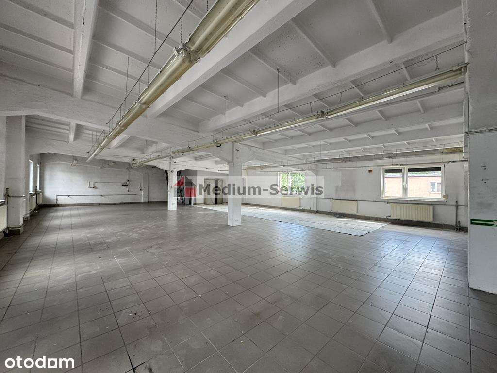 Lokal usługowo-produkcyjny 350mkw - Pełny obrazek: 4/16