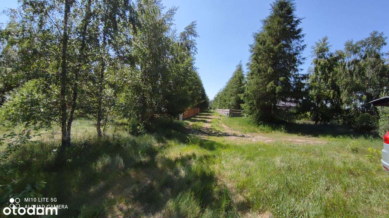 Malownicza, zadrzewiona działka nad Wkrą . OKAZJA-2