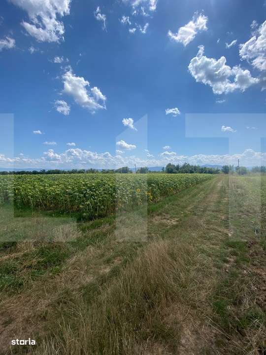 De vanzare teren arabil – 4,58 ha, Moacsa, Covasna - Imagine principală: 4/4