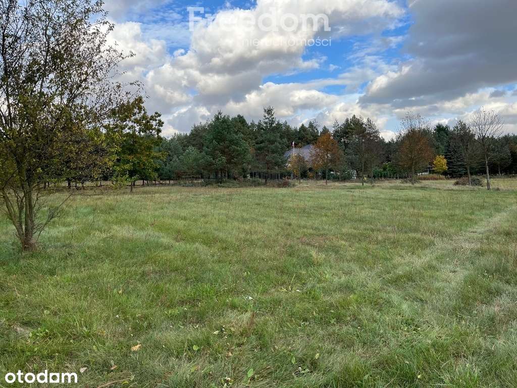 Przepiękna działka w otulinie lasu-Zarośle Cienkie - Pełny obrazek: 5/12