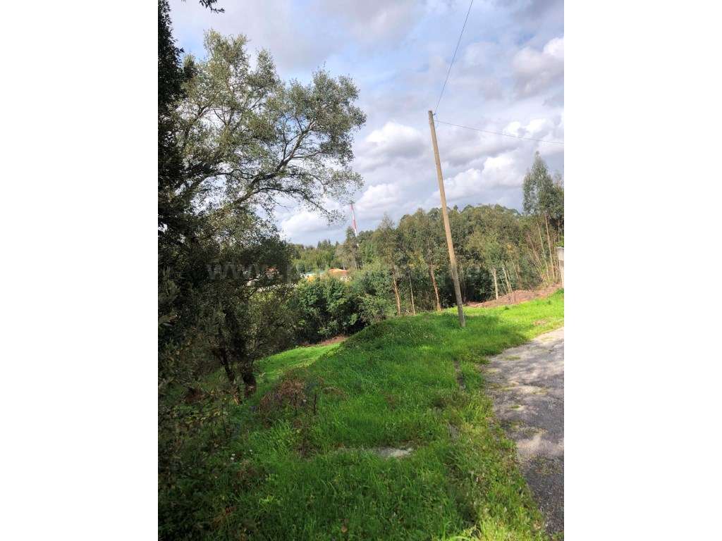 Terreno em Campos, Avintes - Grande imagem: 3/8