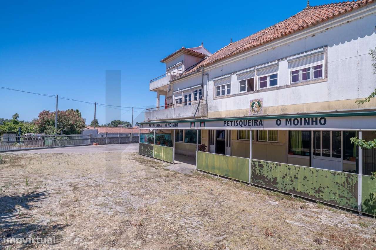 Quinta com 14.920m2 com Moradia T6 e Café em Tomar-38
