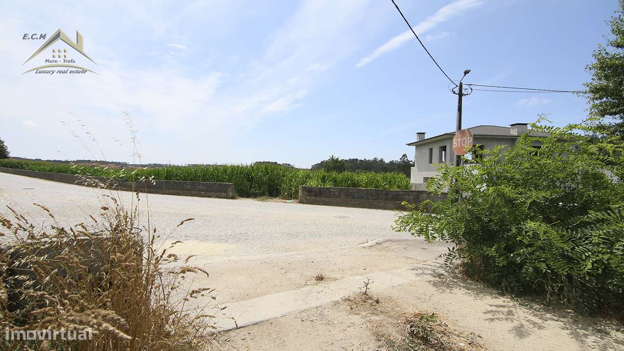 Terreno 20.000m/2 Macieira da Maia-38