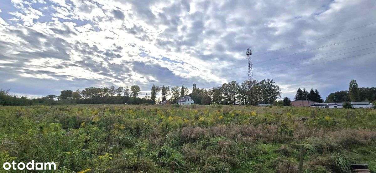 NOWA NIŻSZA CENA! działka budowlana w OLSZYNIE - Pełny obrazek: 4/6